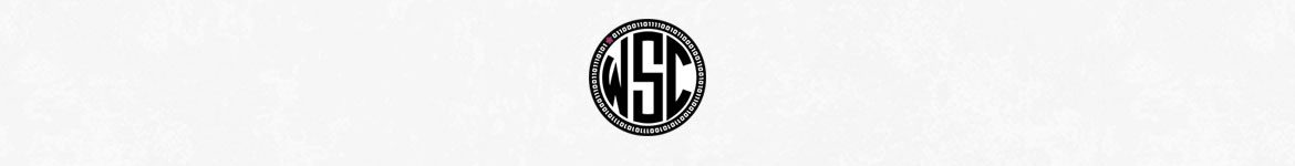 WSC slider 1170x150 - Global CISO Forum 2016<br/> Atlanta, GA